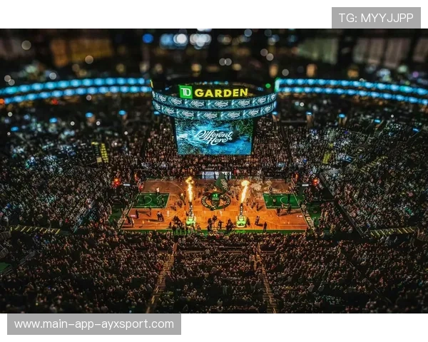 凯尔特人欧式篮球