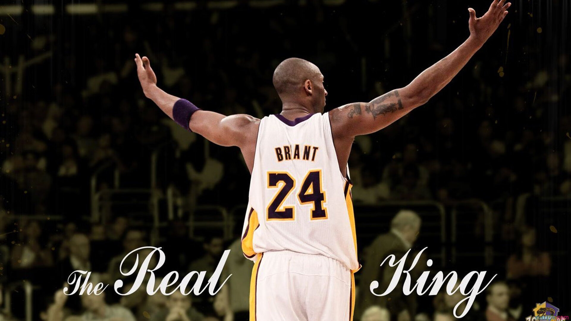 JDG团队举办电竞心理健康主题讲座，电竞心理现象